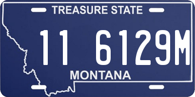 MT license plate 116129M