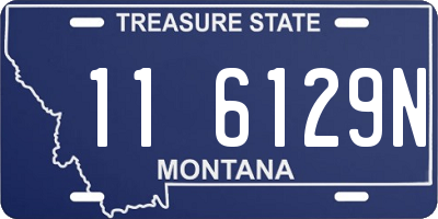 MT license plate 116129N