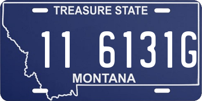 MT license plate 116131G
