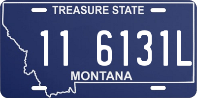 MT license plate 116131L