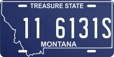 MT license plate 116131S