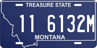 MT license plate 116132M