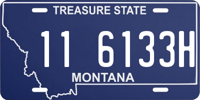 MT license plate 116133H