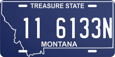 MT license plate 116133N