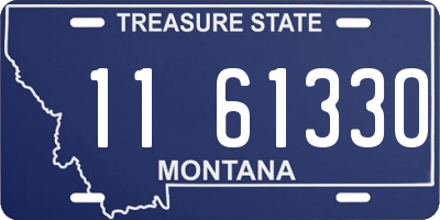 MT license plate 116133O