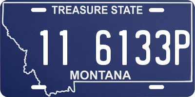 MT license plate 116133P