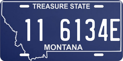 MT license plate 116134E