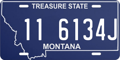 MT license plate 116134J