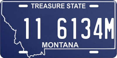 MT license plate 116134M