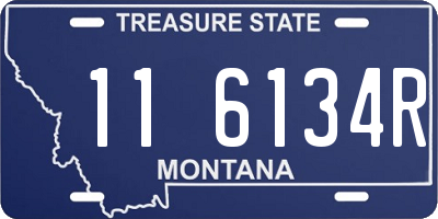 MT license plate 116134R
