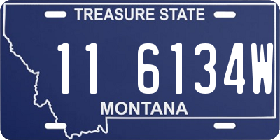 MT license plate 116134W