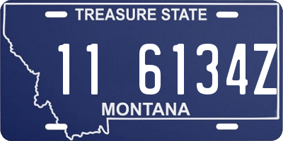 MT license plate 116134Z