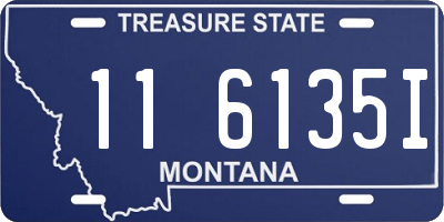 MT license plate 116135I