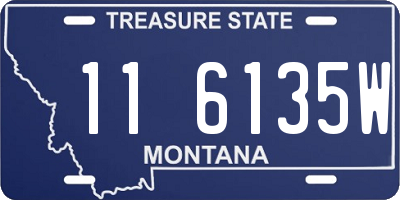 MT license plate 116135W