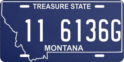 MT license plate 116136G