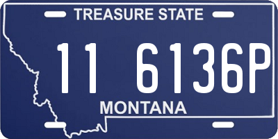 MT license plate 116136P