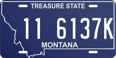 MT license plate 116137K