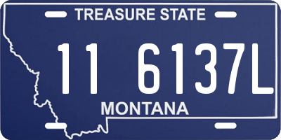 MT license plate 116137L