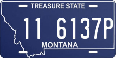 MT license plate 116137P