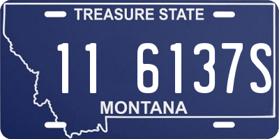 MT license plate 116137S