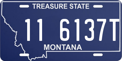 MT license plate 116137T