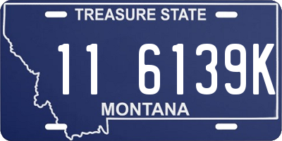 MT license plate 116139K