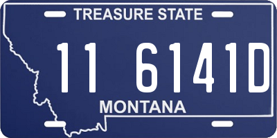 MT license plate 116141D