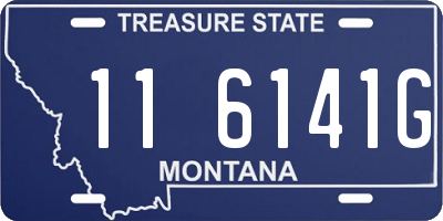 MT license plate 116141G