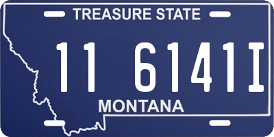 MT license plate 116141I