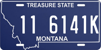 MT license plate 116141K