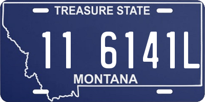 MT license plate 116141L