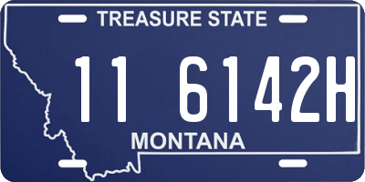 MT license plate 116142H