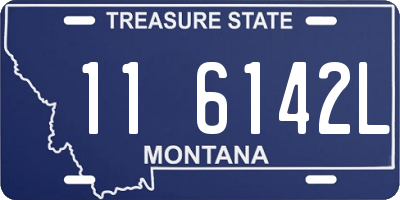 MT license plate 116142L