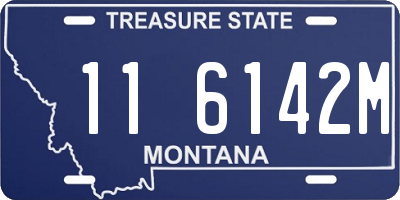 MT license plate 116142M