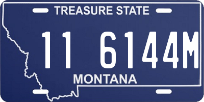 MT license plate 116144M