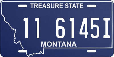 MT license plate 116145I