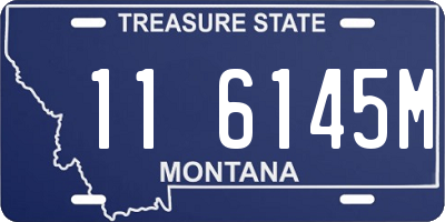 MT license plate 116145M