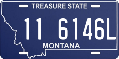 MT license plate 116146L