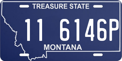 MT license plate 116146P