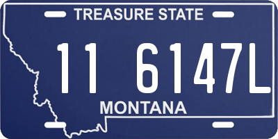 MT license plate 116147L