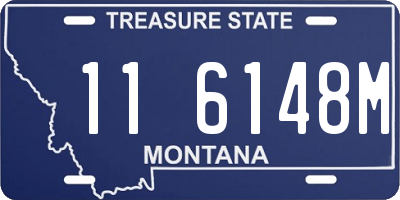 MT license plate 116148M