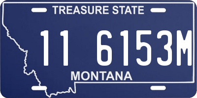 MT license plate 116153M