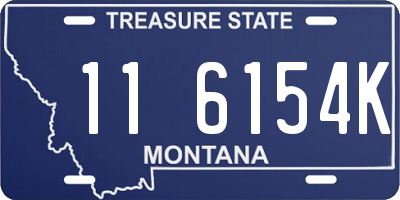 MT license plate 116154K