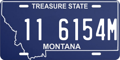 MT license plate 116154M