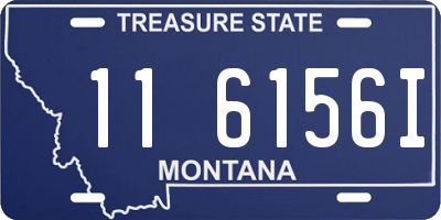 MT license plate 116156I