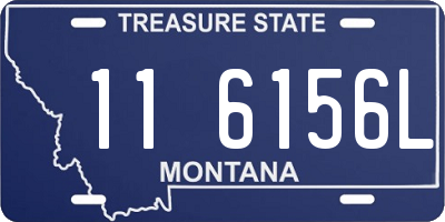 MT license plate 116156L