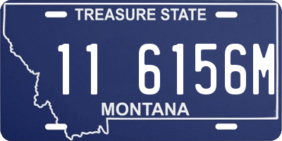 MT license plate 116156M