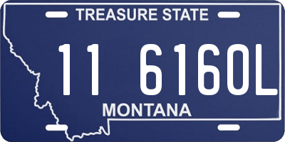 MT license plate 116160L