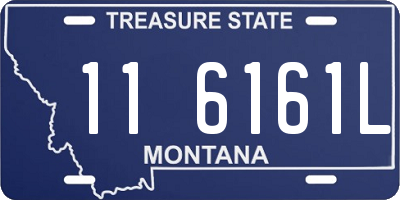 MT license plate 116161L
