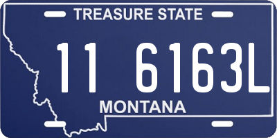 MT license plate 116163L